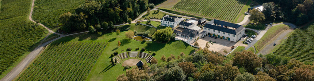 Vue du Domaine du Cinquau, de ses vignes et de son théâtre de verdure